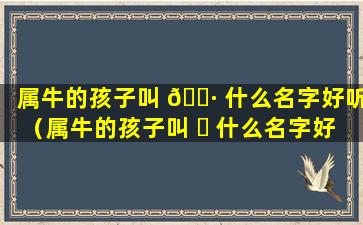 属牛的孩子叫 🌷 什么名字好听（属牛的孩子叫 ☘ 什么名字好听男孩）